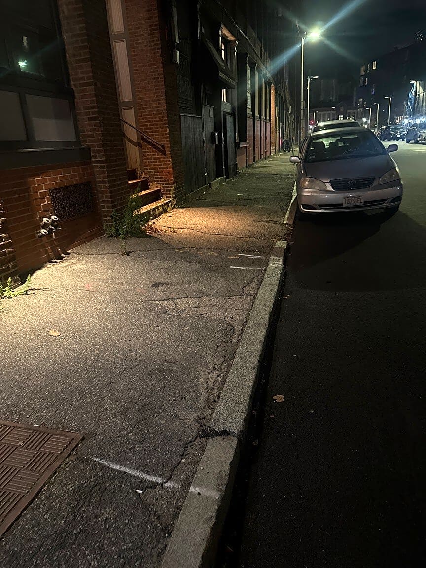 Image submitted with report