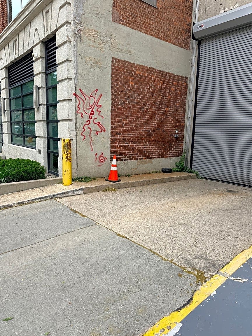 Image submitted with report