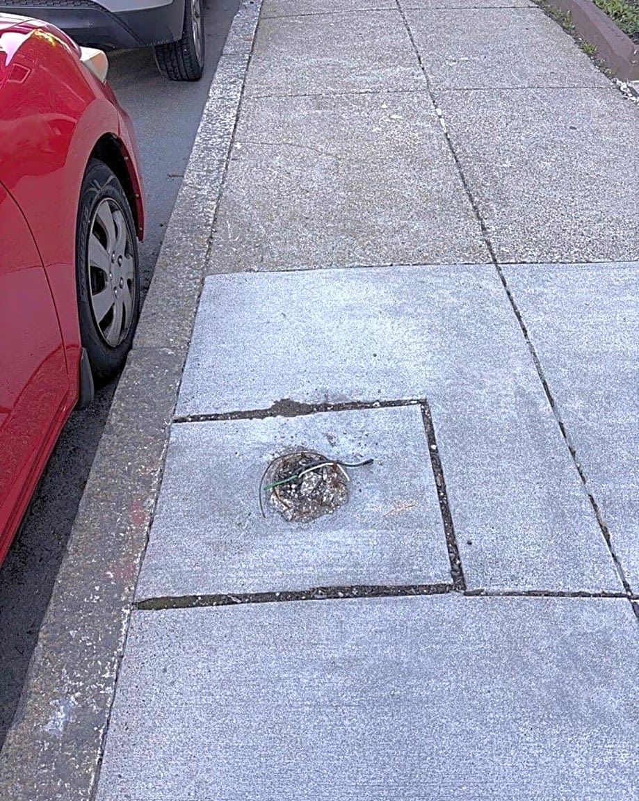 Image submitted with report