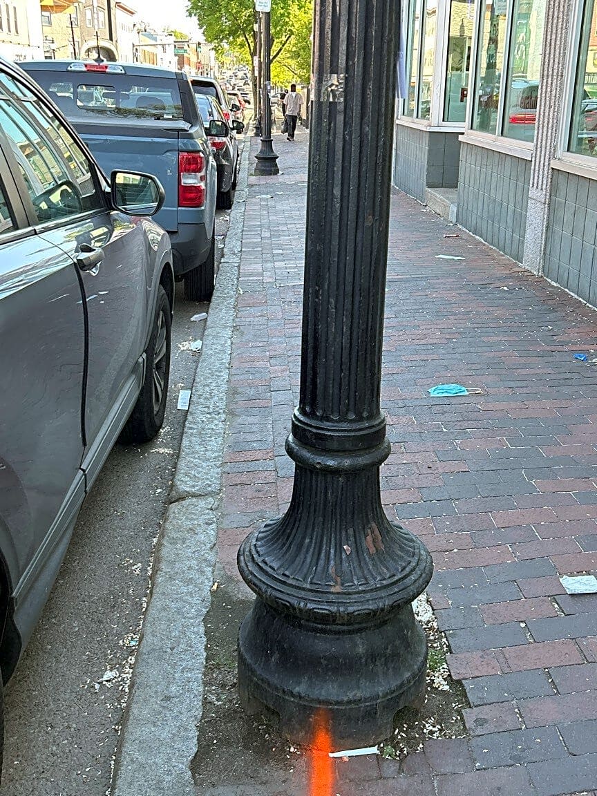 Image submitted with report