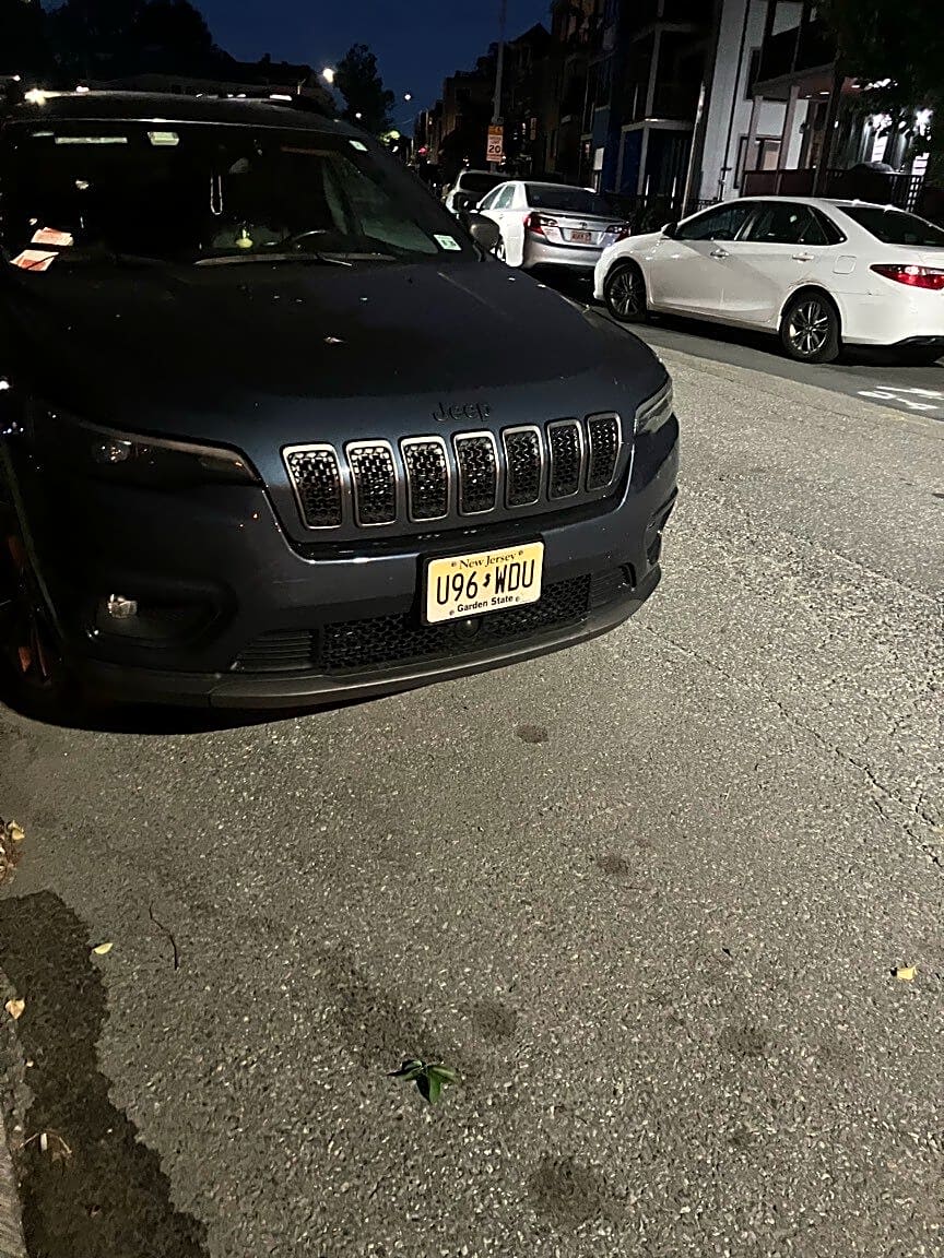 Image submitted with report