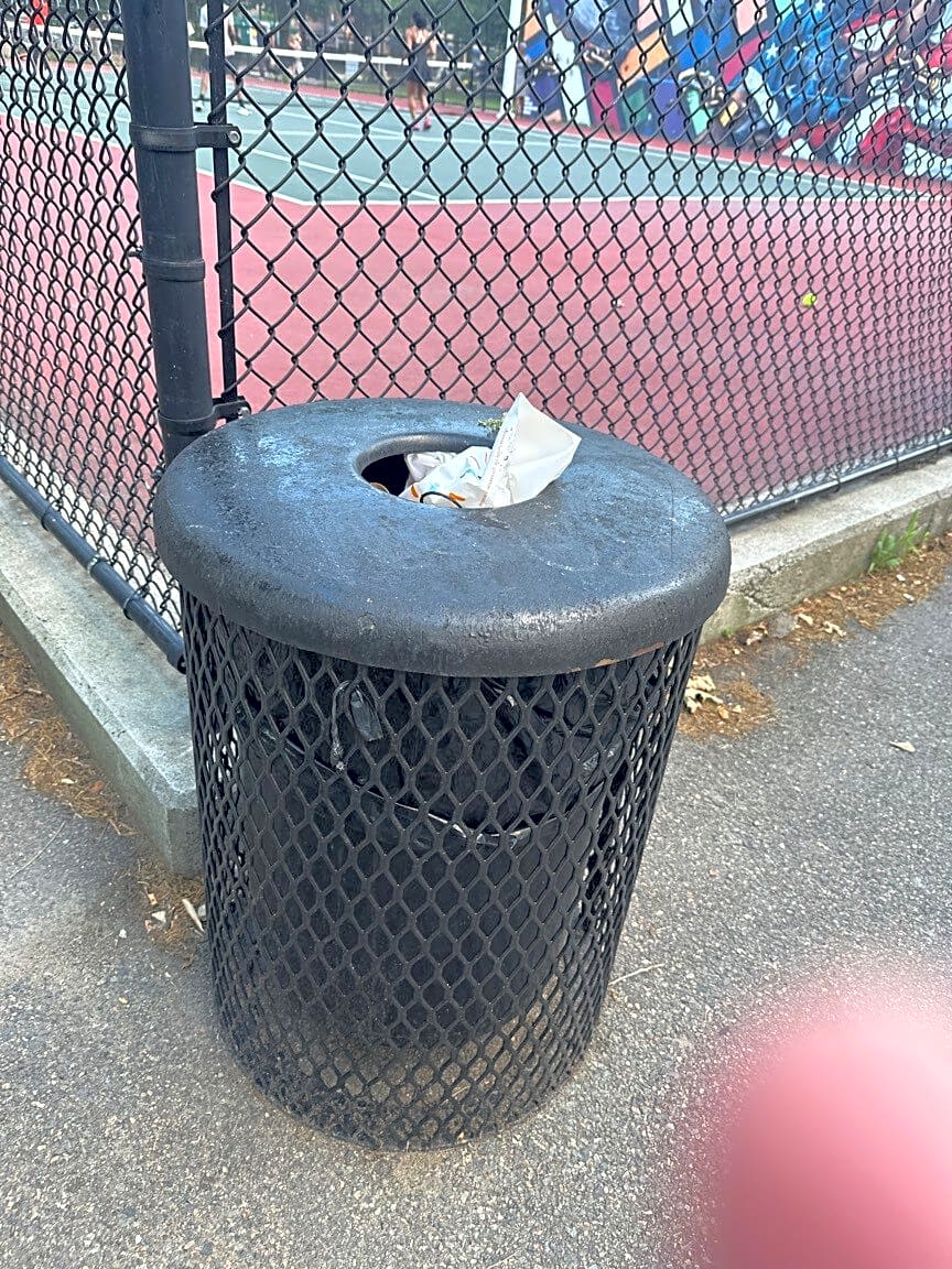 Image submitted with report