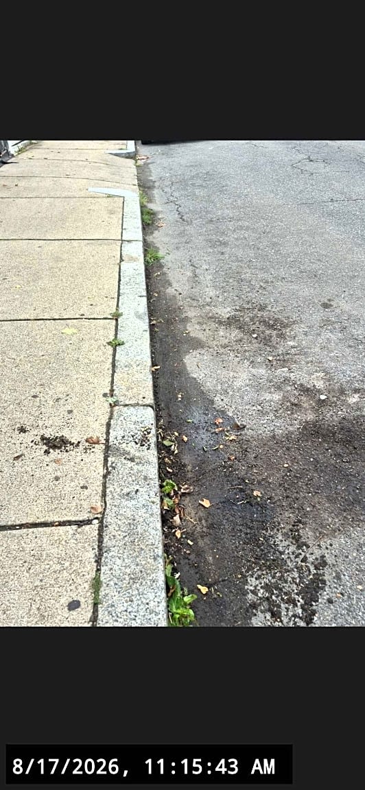 Image submitted with report