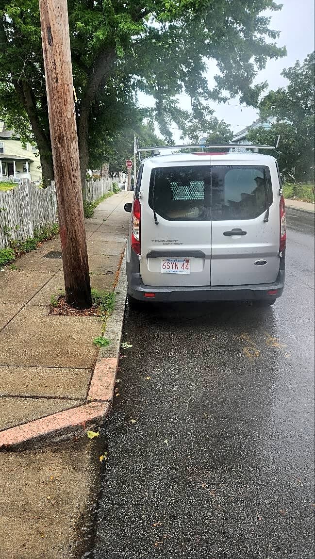 Image submitted with report