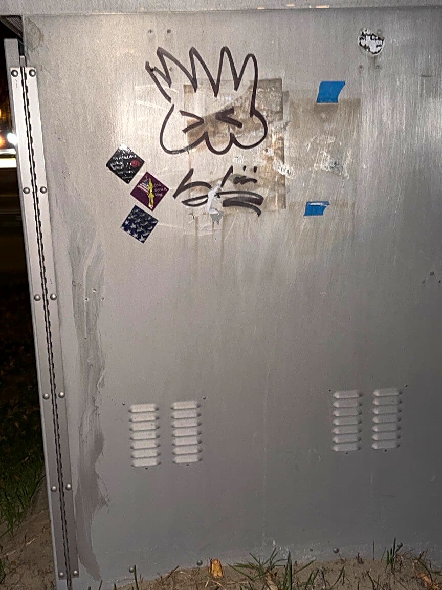 Image submitted with report