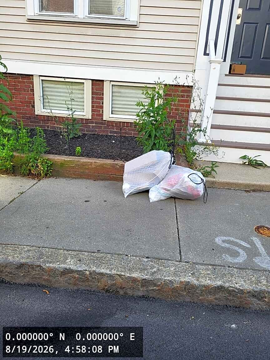 Image submitted with report