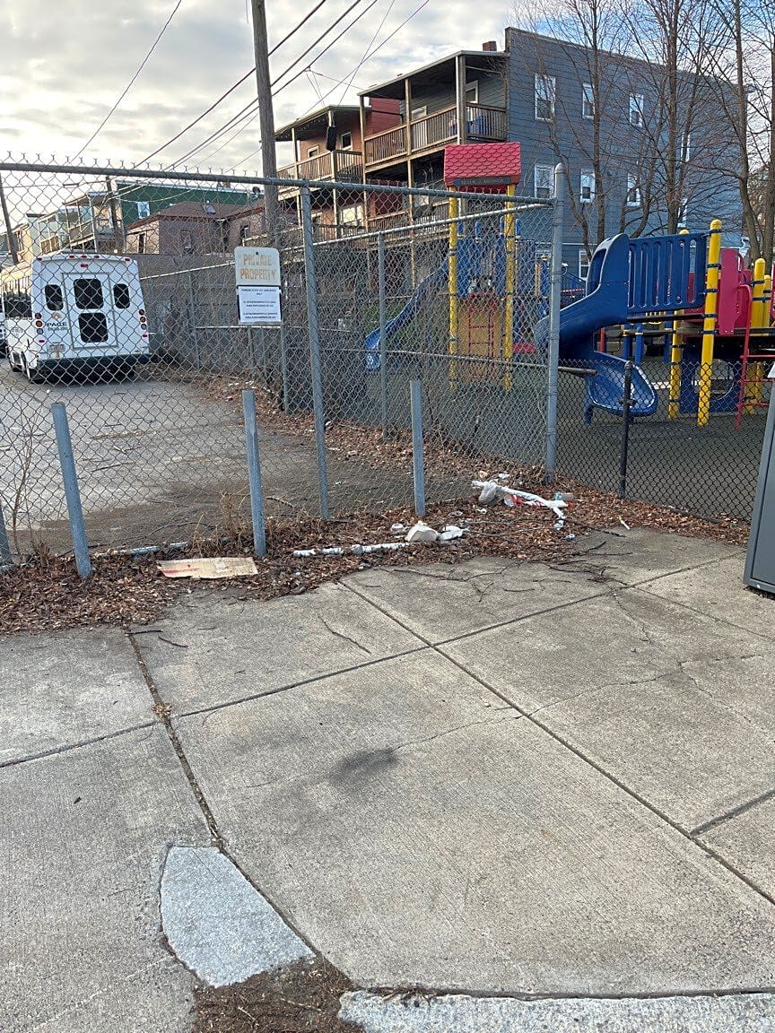 Image submitted with report