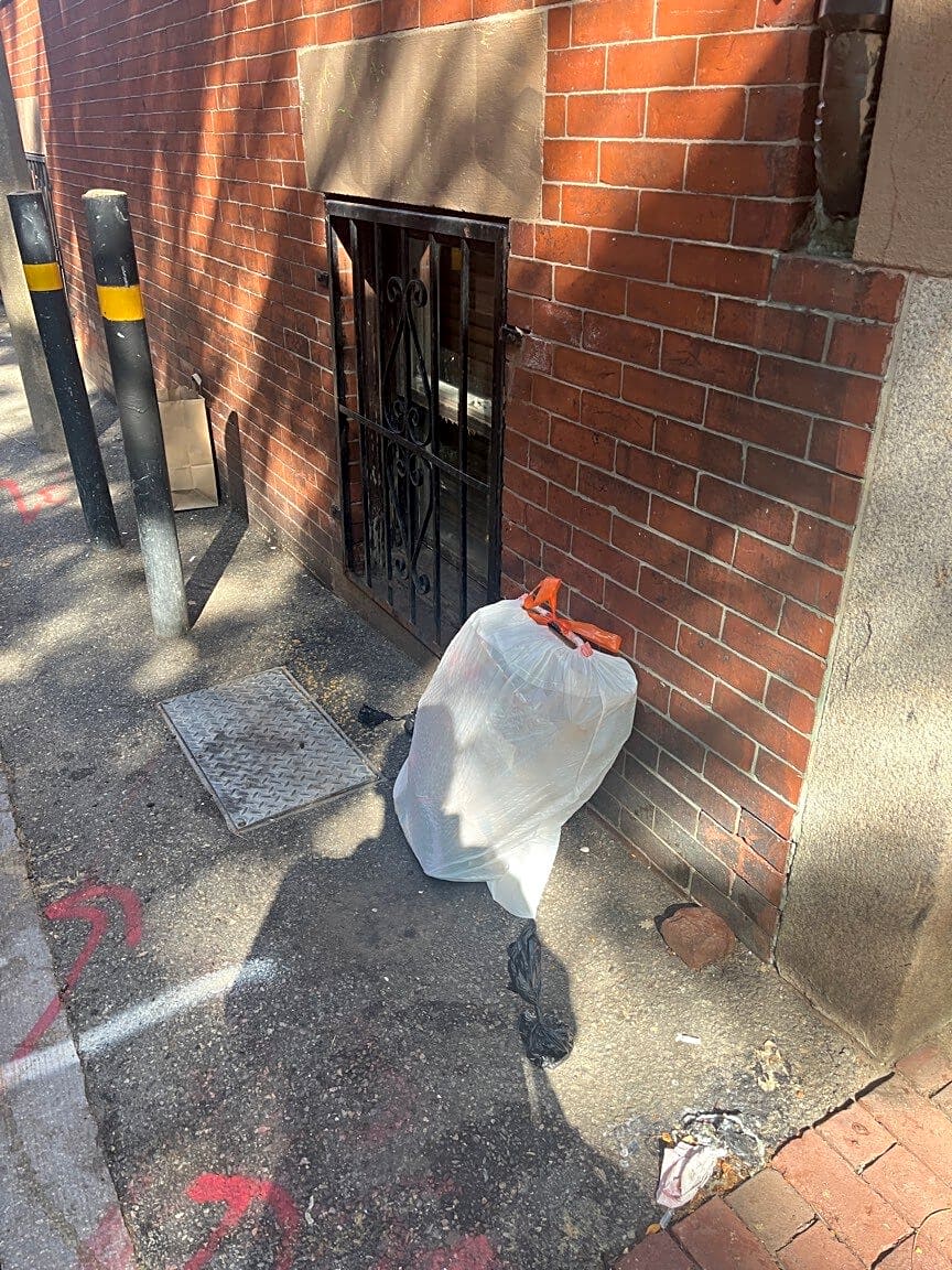Image submitted with report