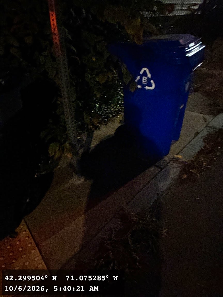 Image submitted with report