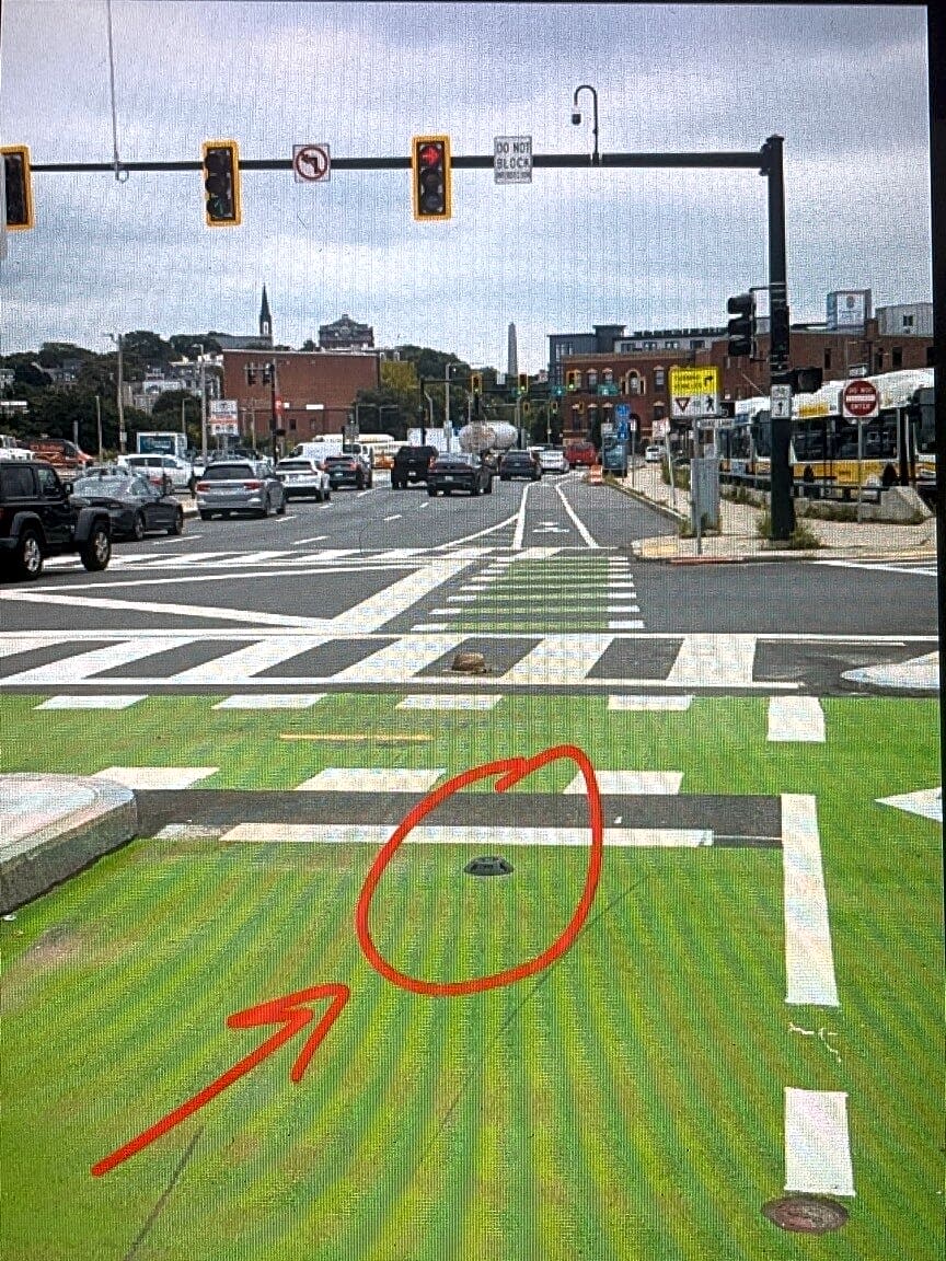 Image submitted with report