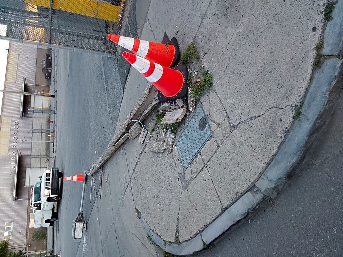 Image submitted with report
