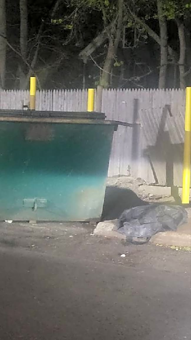 Image submitted with report