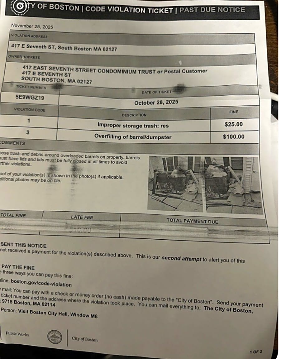 Image submitted with report