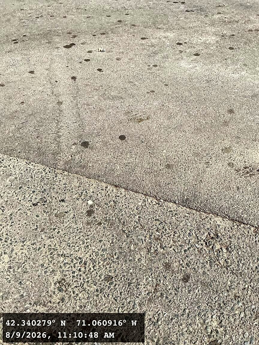 Image submitted with report