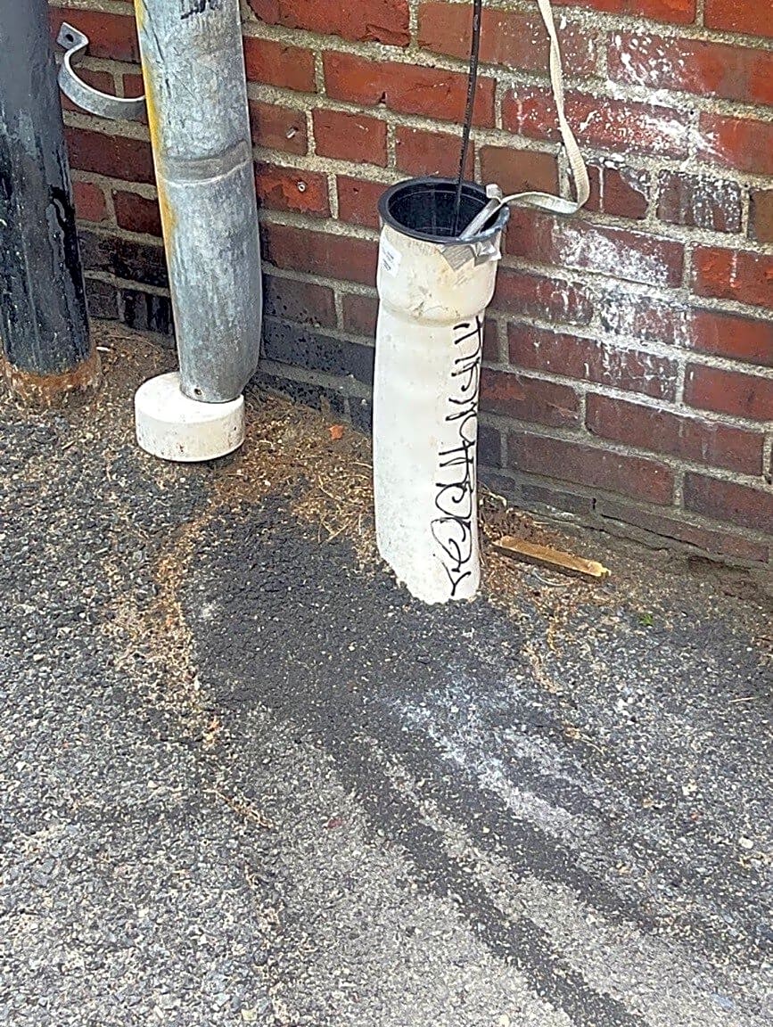 Image submitted with report