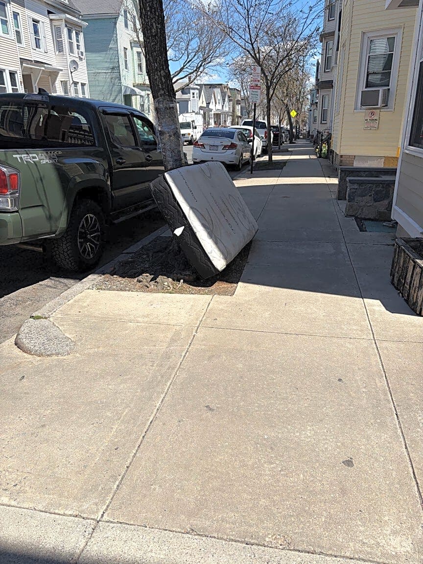 Image submitted with report