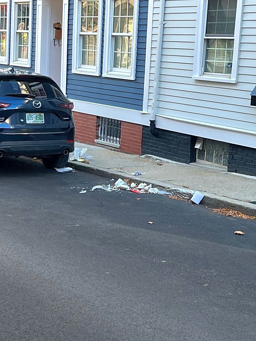 Image submitted with report