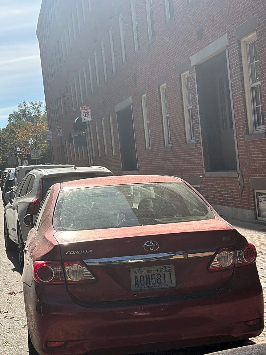 Image submitted with report