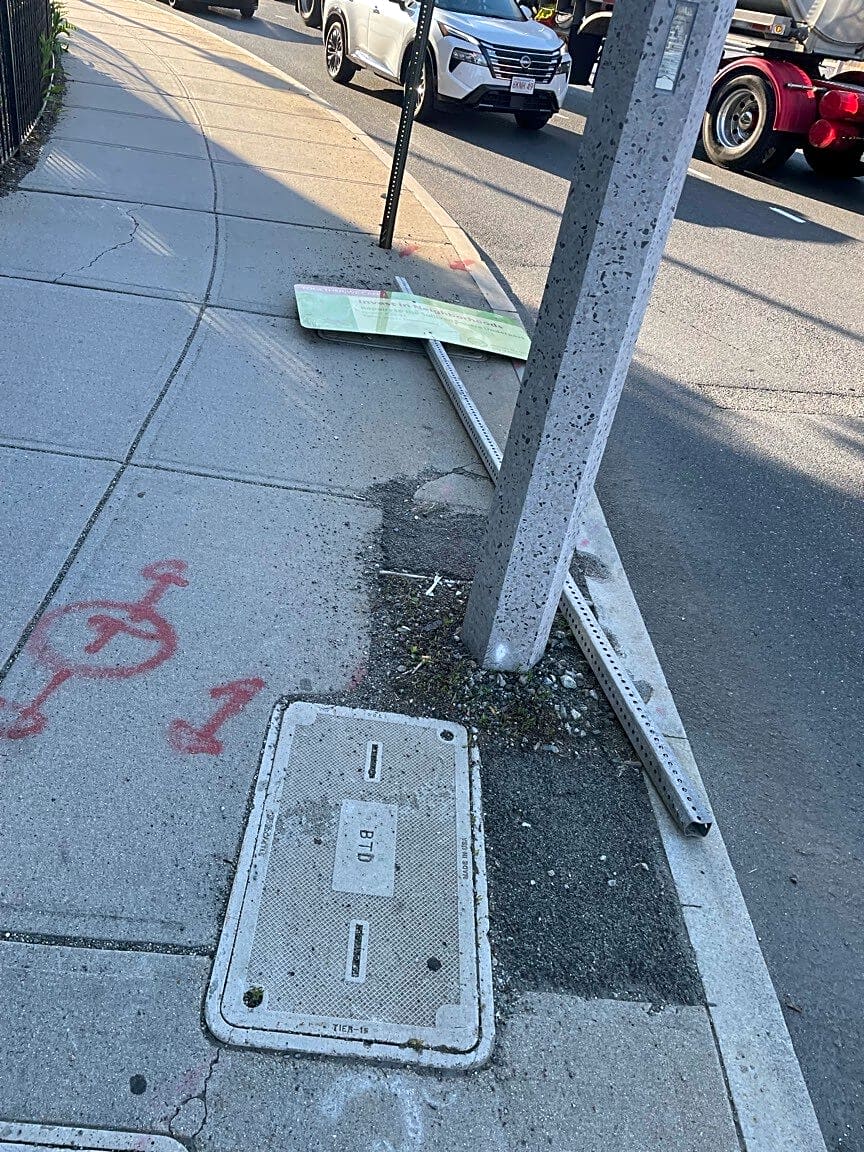 Image submitted with report