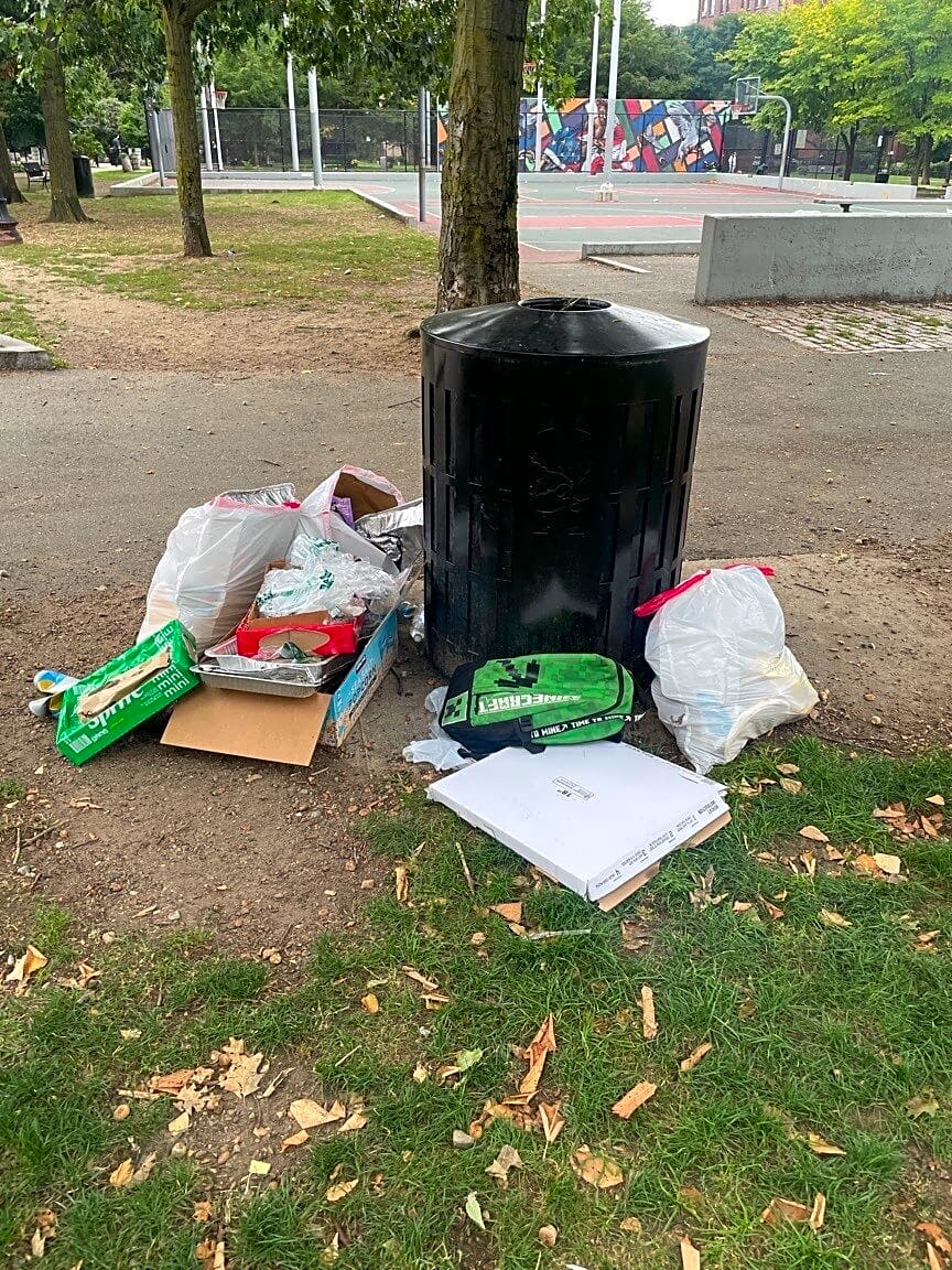 Image submitted with report