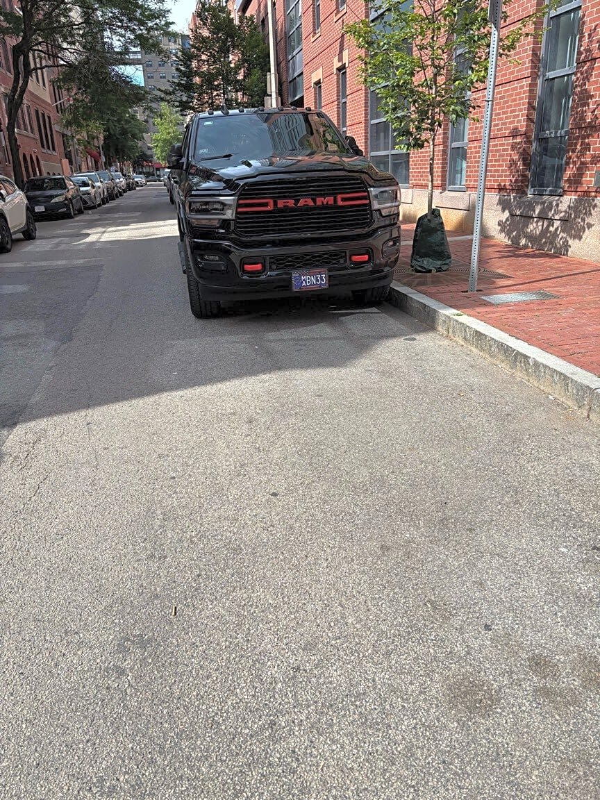 Image submitted with report