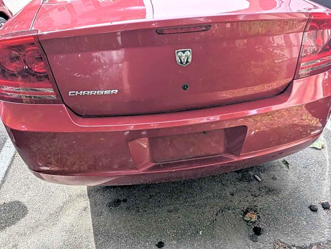 Image submitted with report