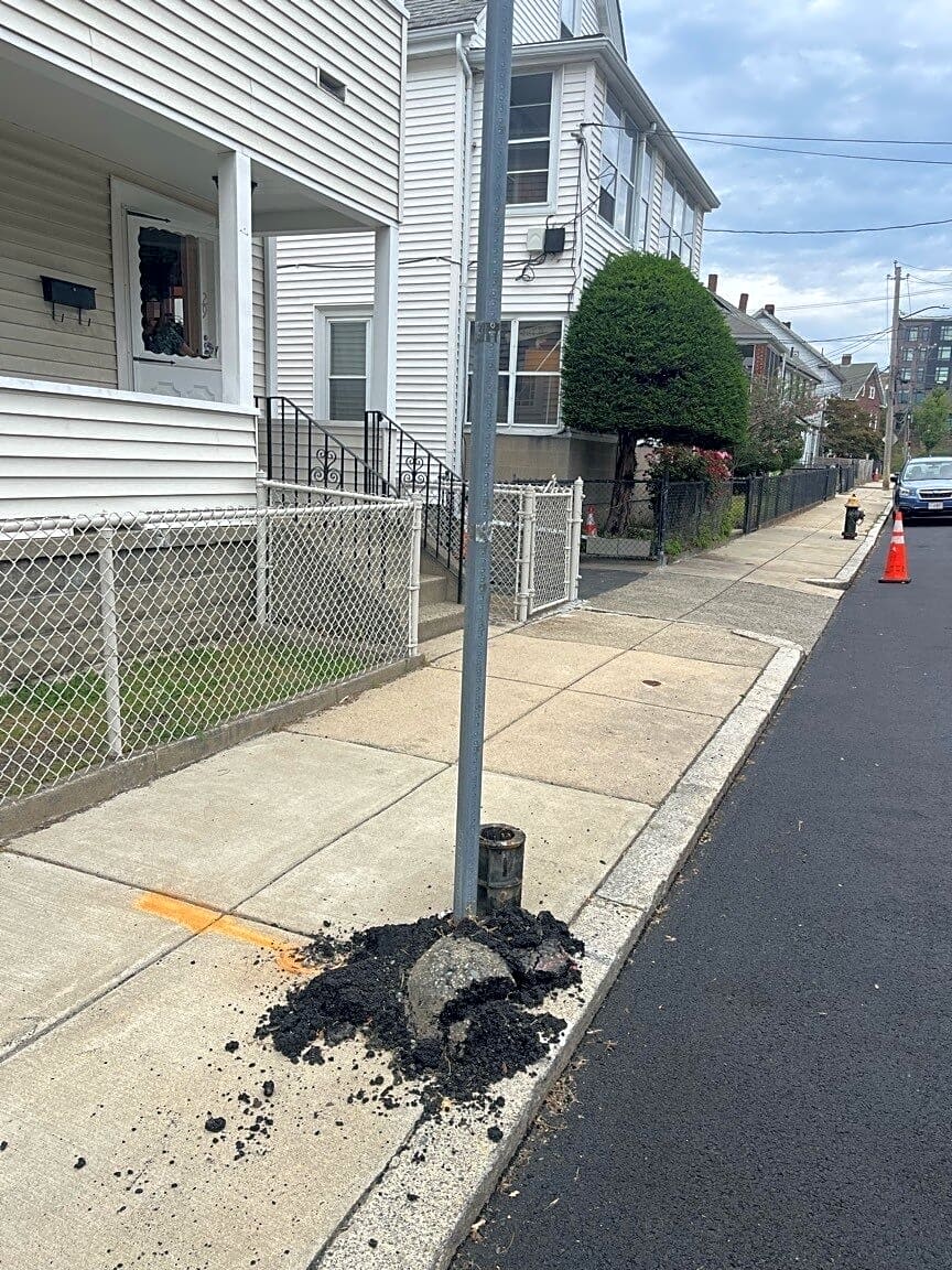 Image submitted with report