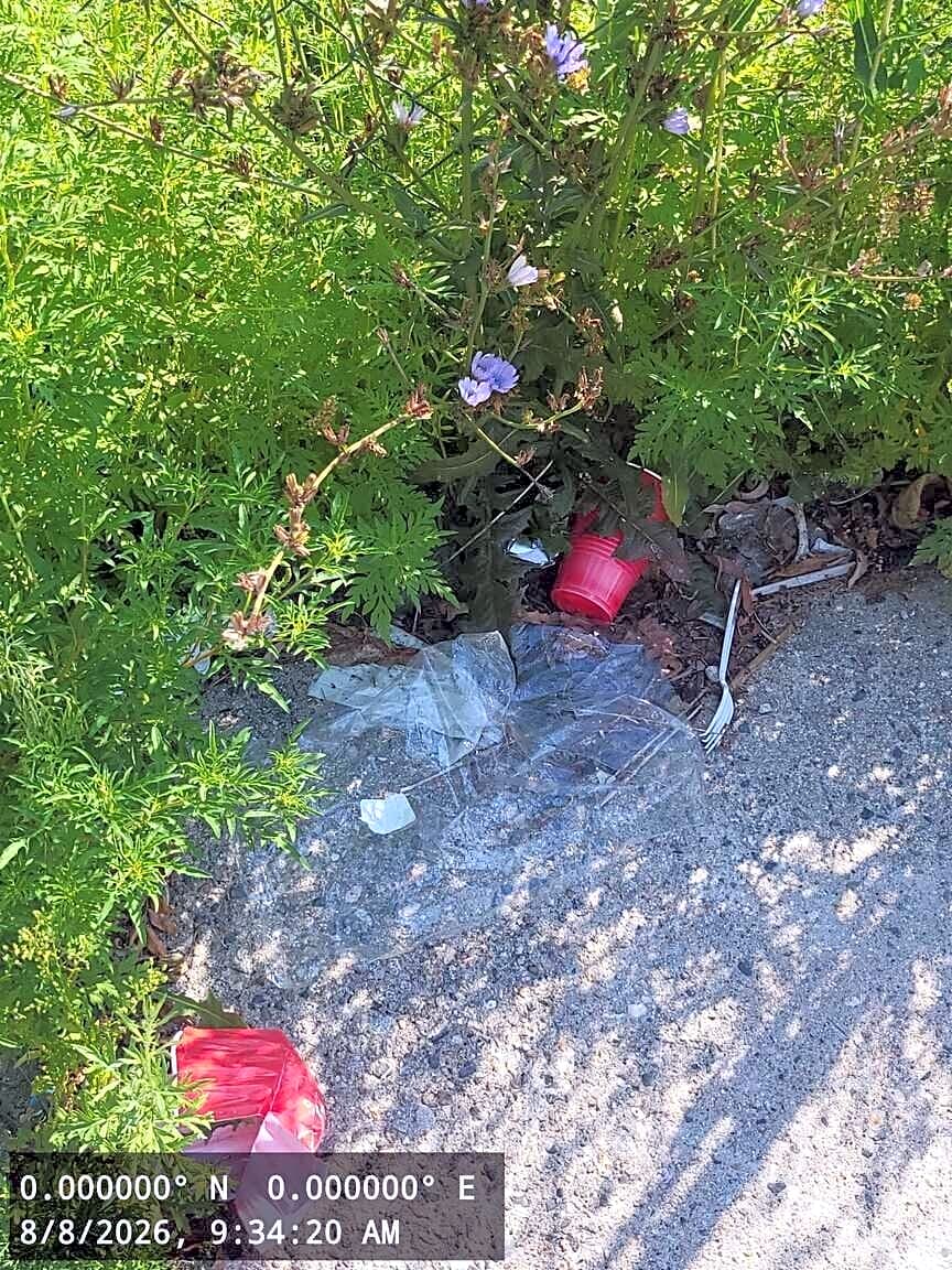Image submitted with report