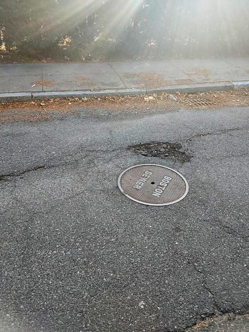 Image submitted with report