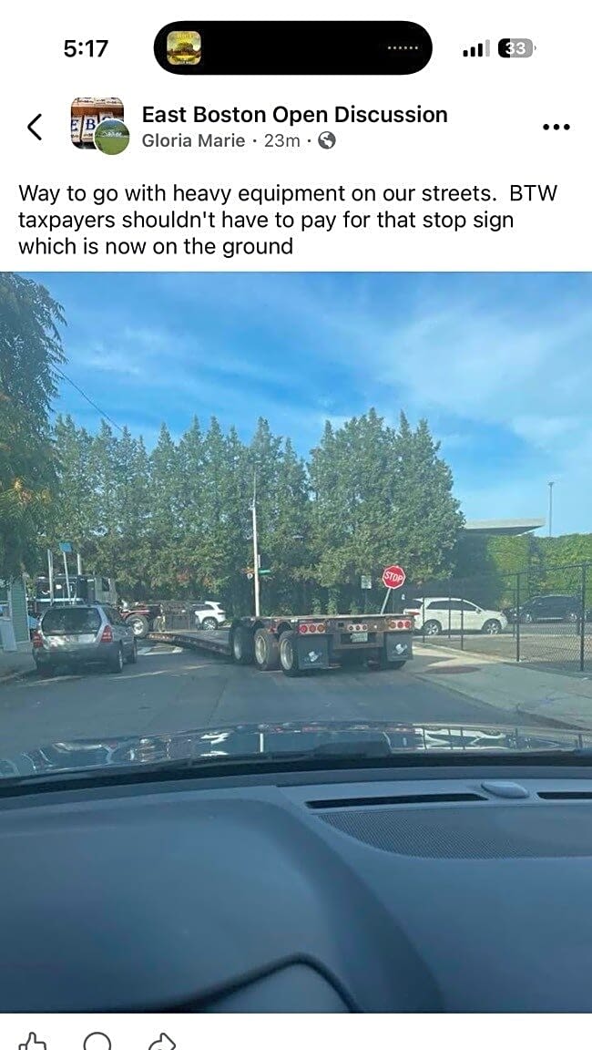Image submitted with report