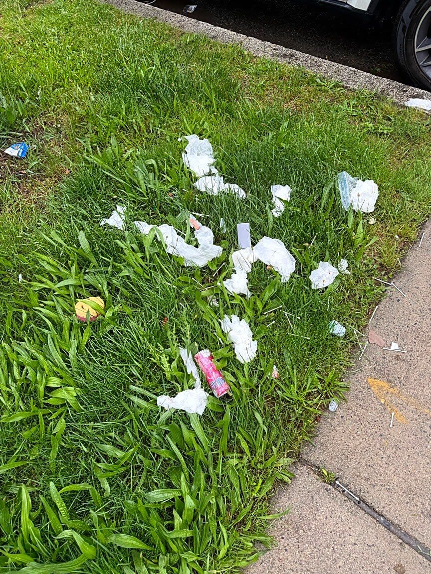Image submitted with report
