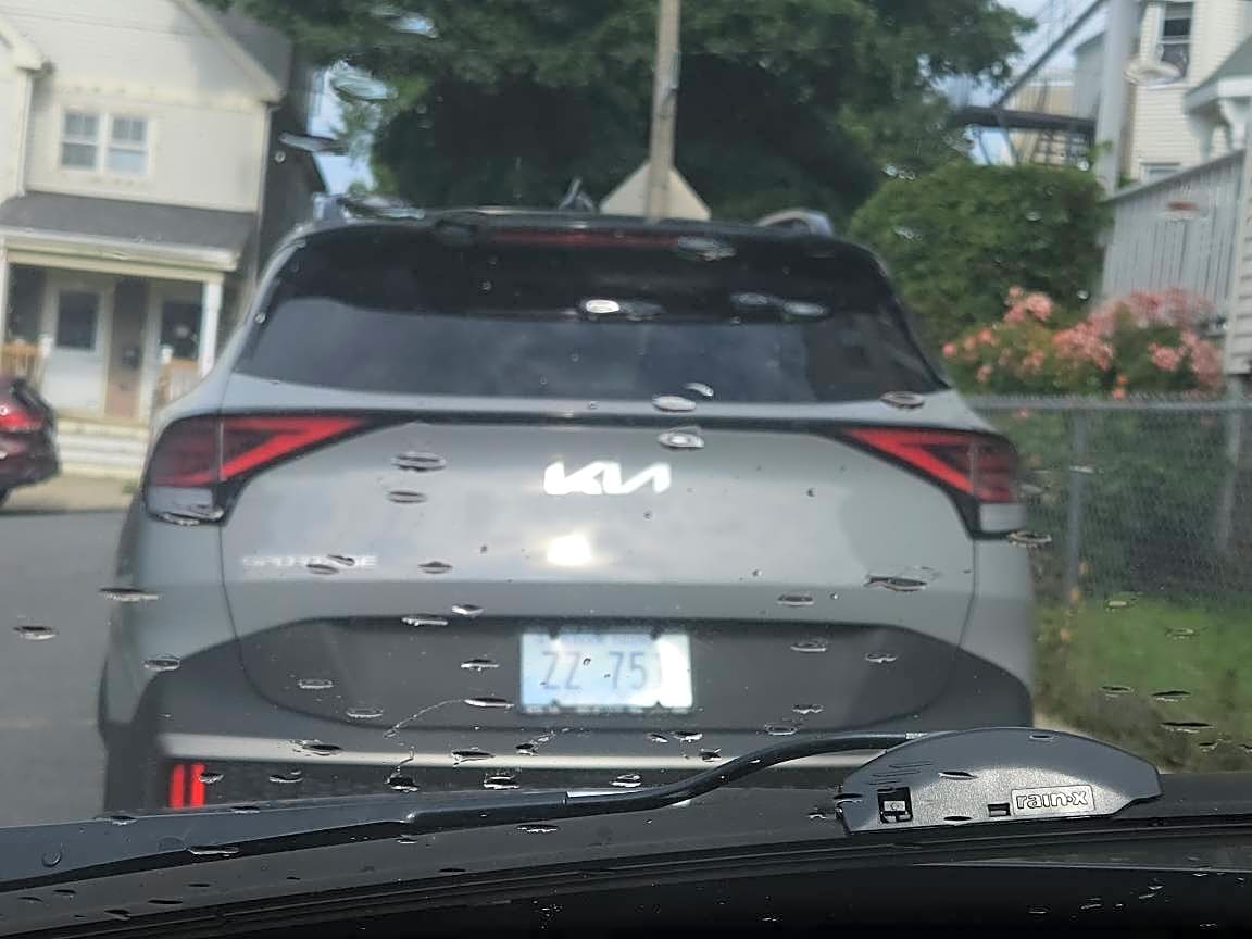 Image submitted with report