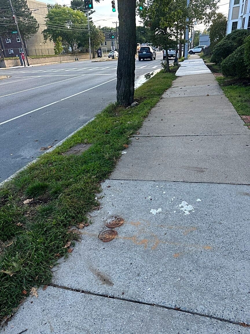 Image submitted with report