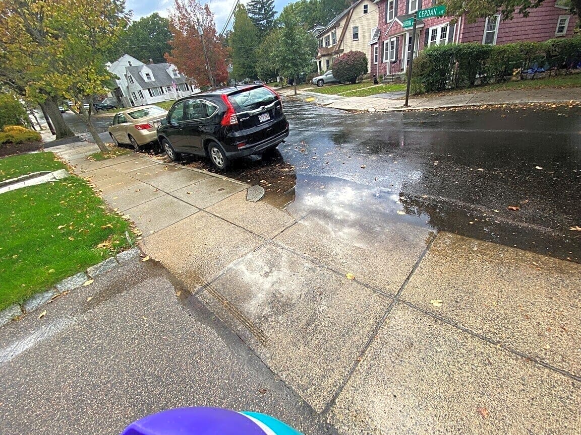 Image submitted with report