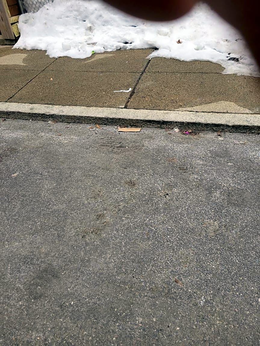 Image submitted with report