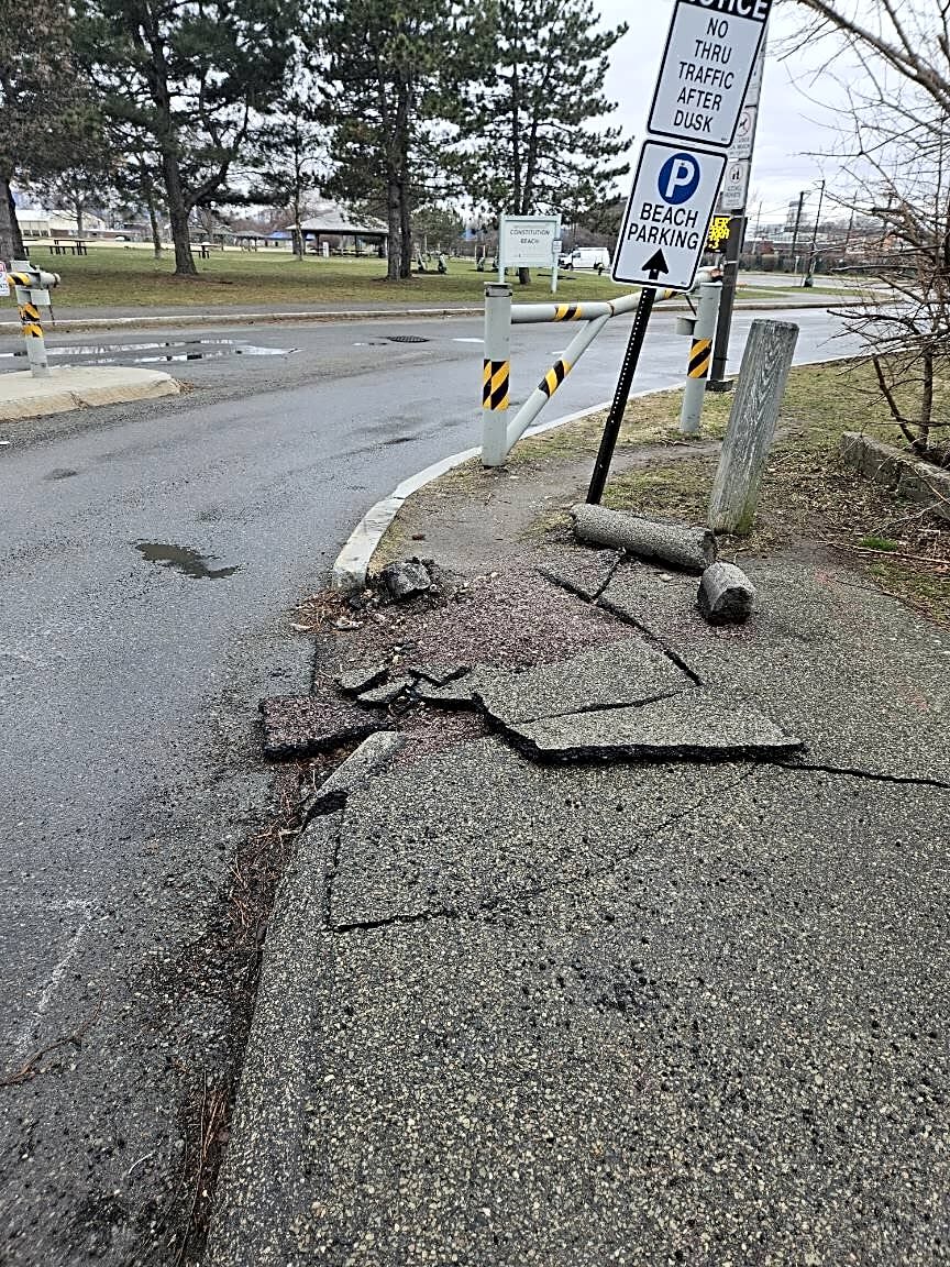 Image submitted with report