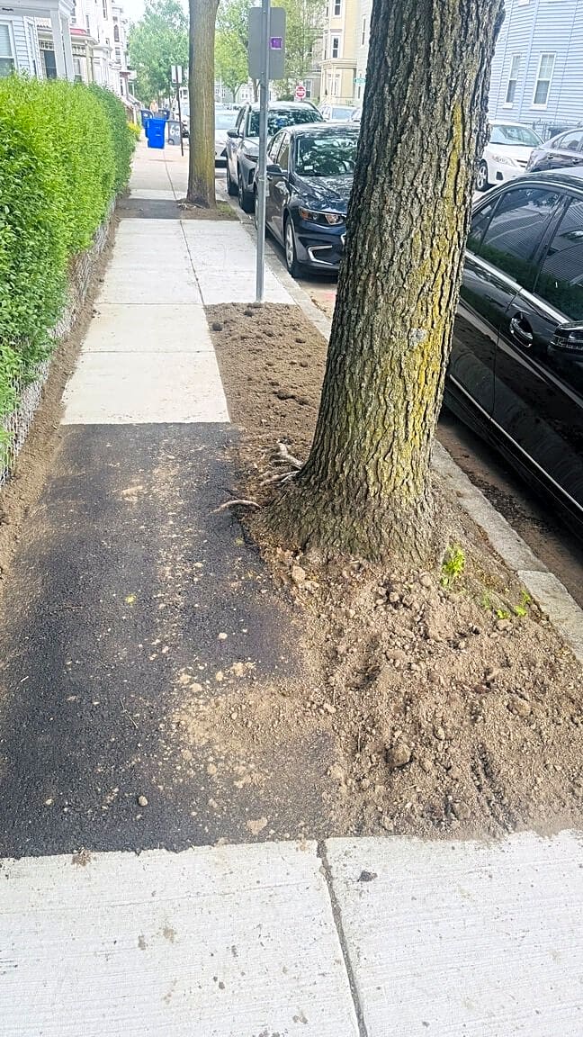 Image submitted with report