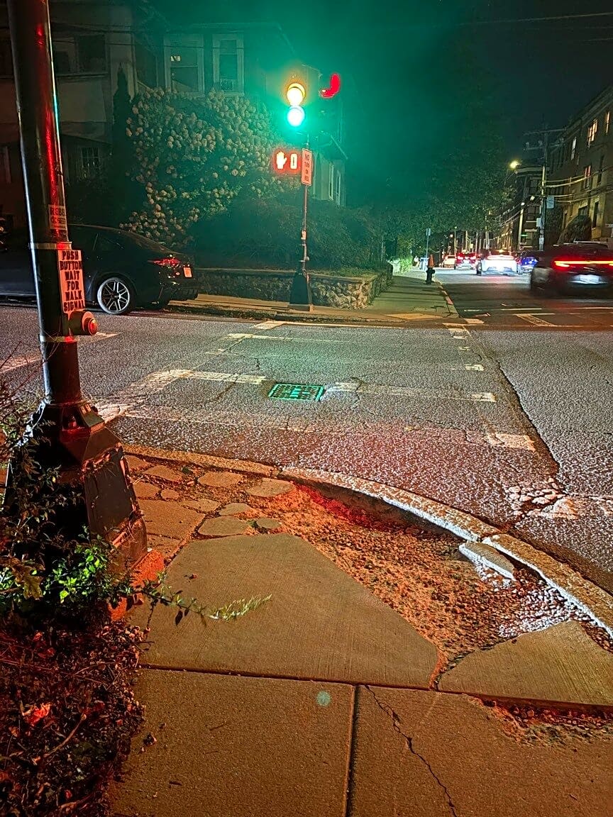 Image submitted with report
