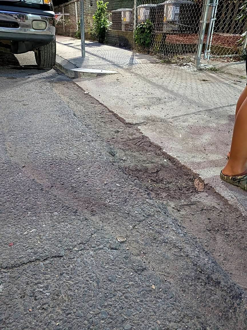 Image submitted with report