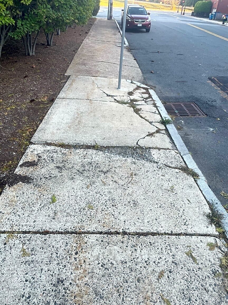 Image submitted with report