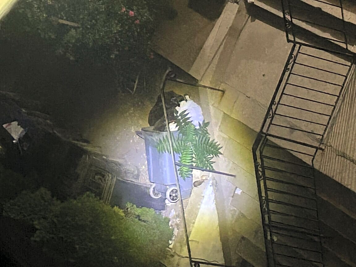 Image submitted with report