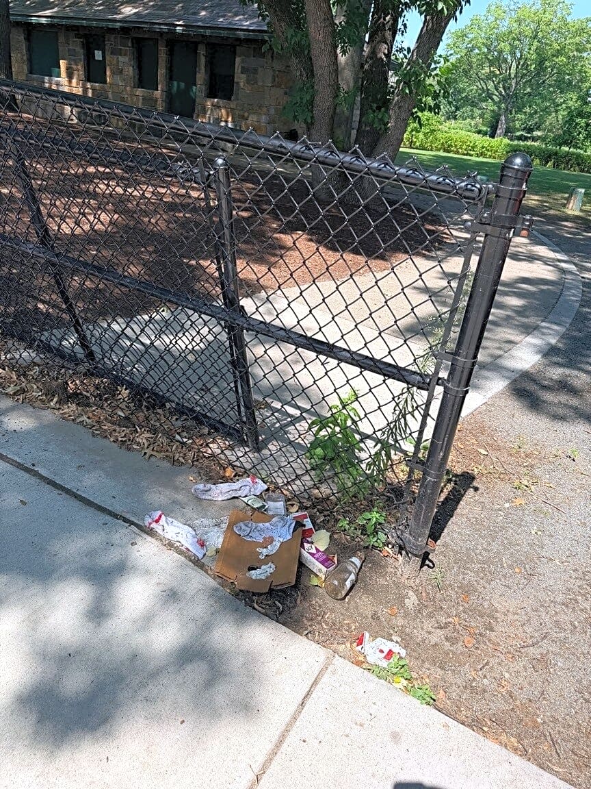 Image submitted with report