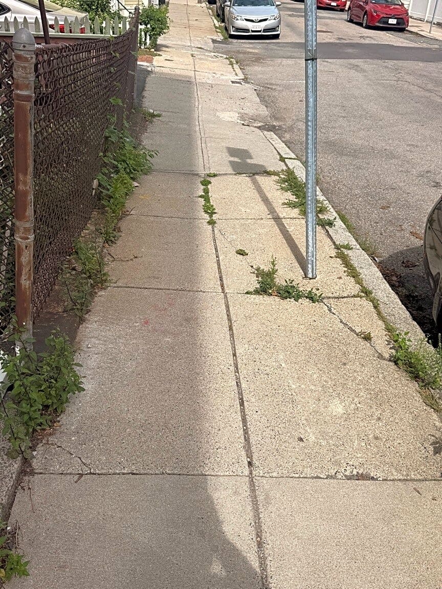 Image submitted with report