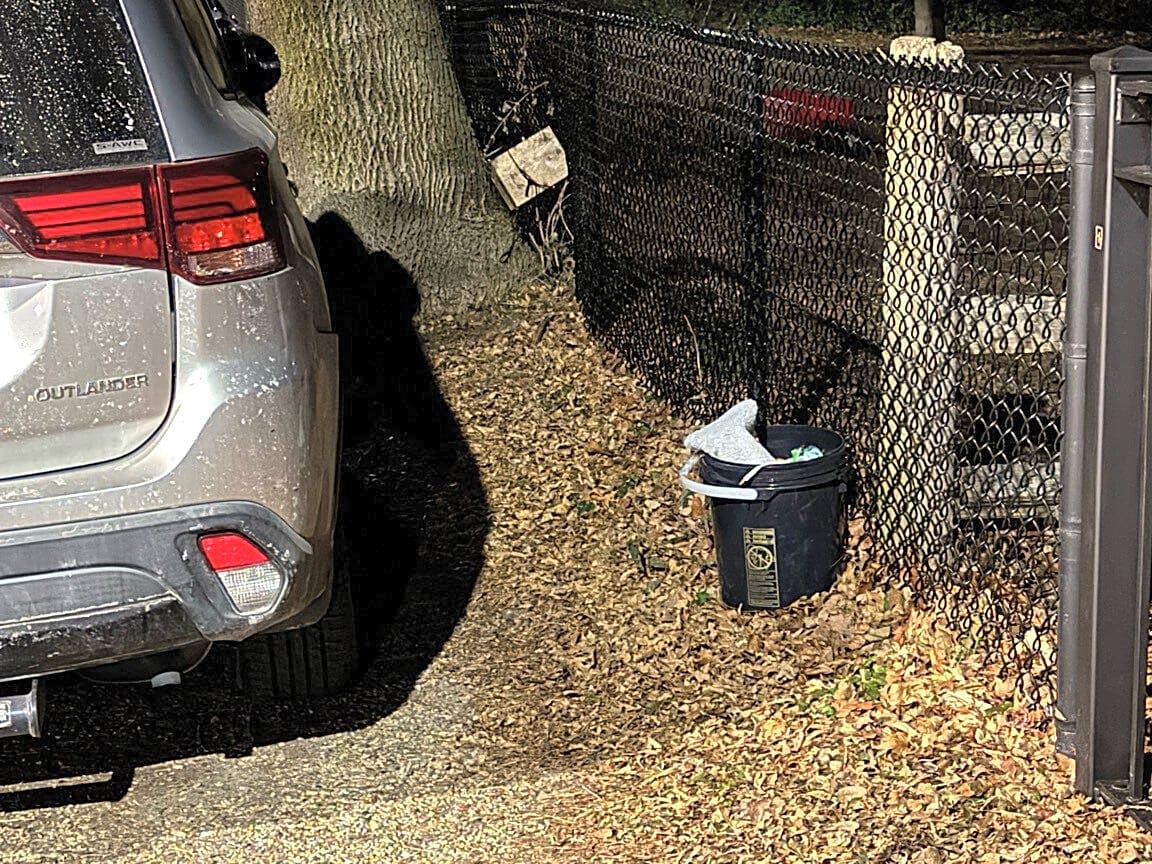 Image submitted with report