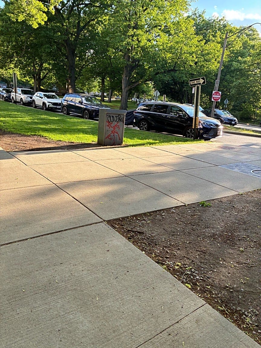 Image submitted with report
