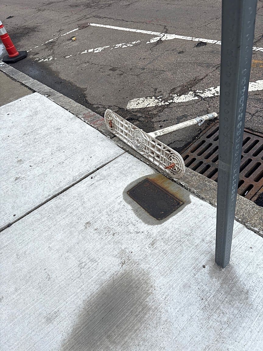 Image submitted with report