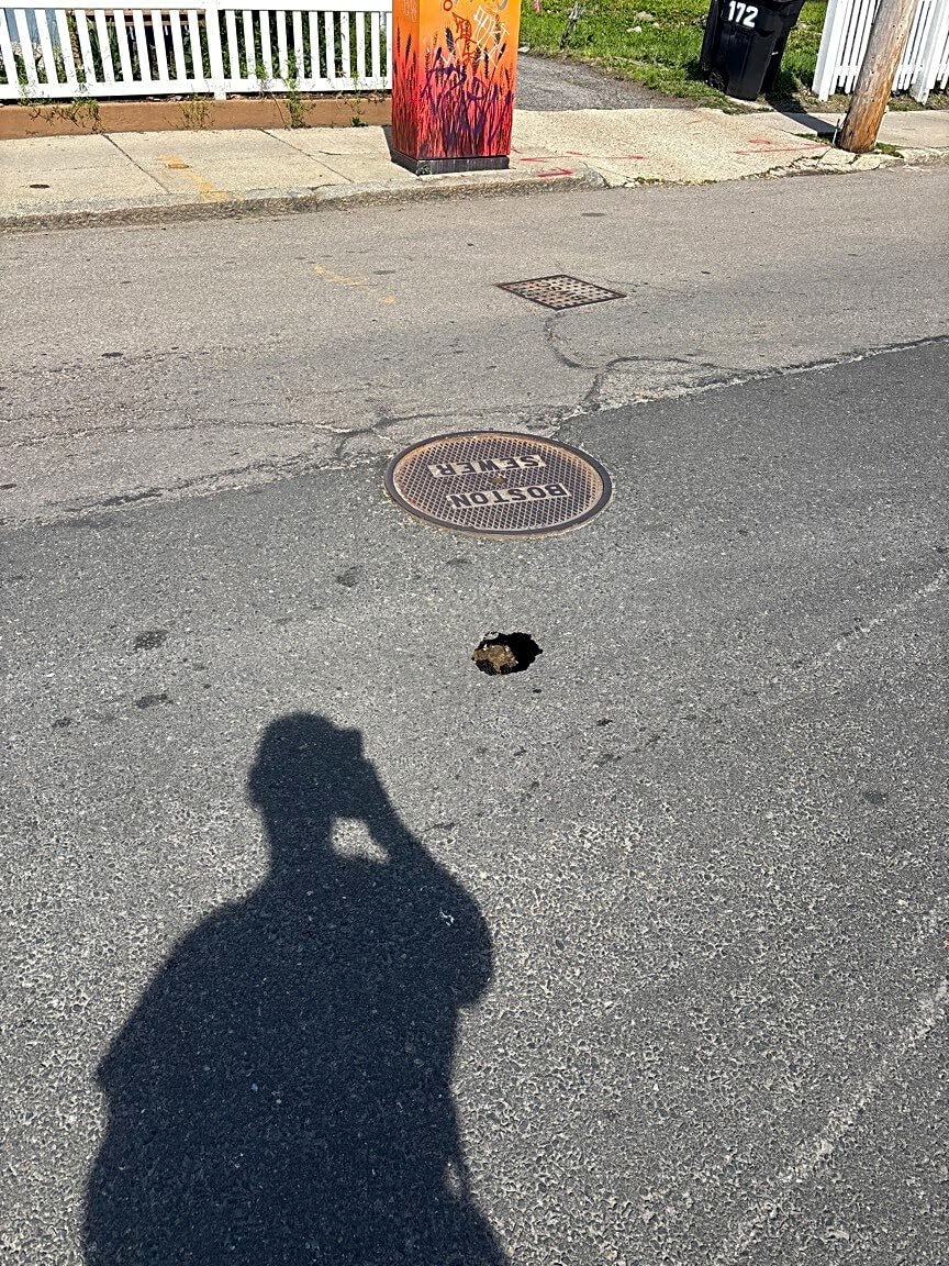 Image submitted with report