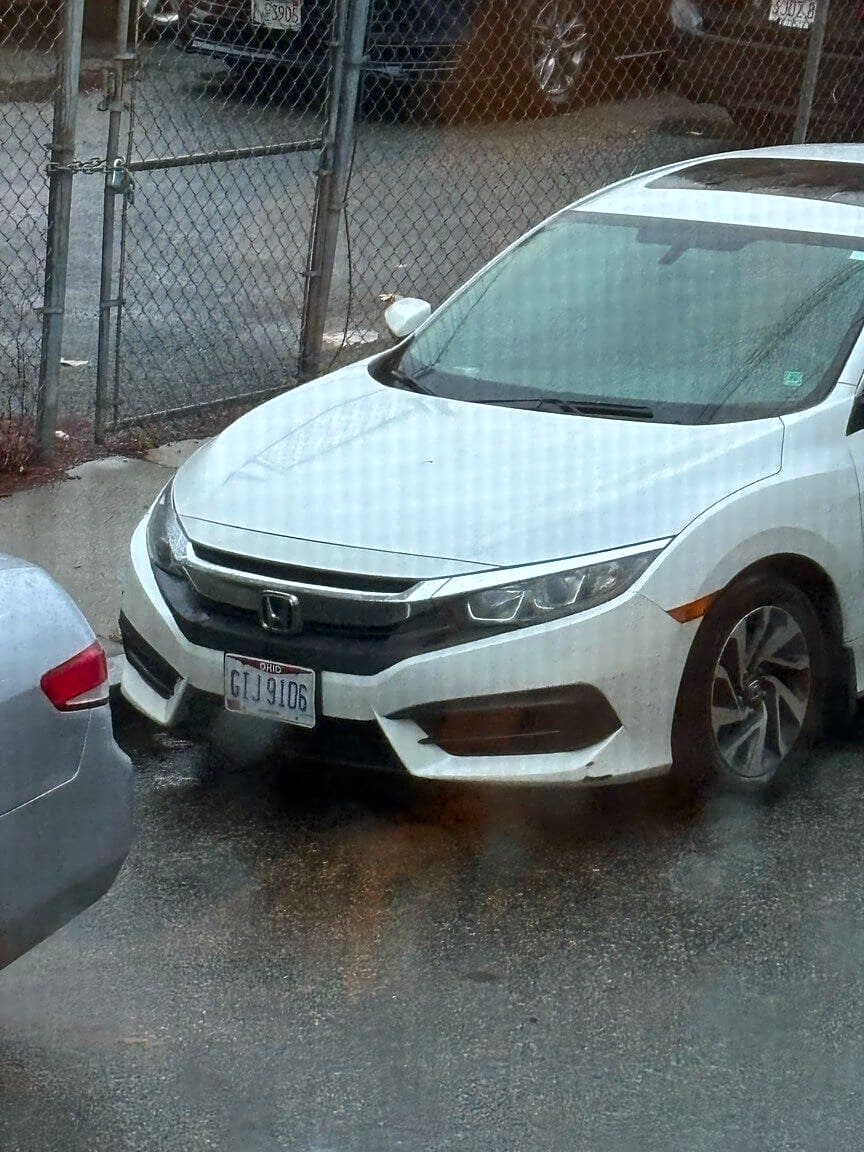 Image submitted with report