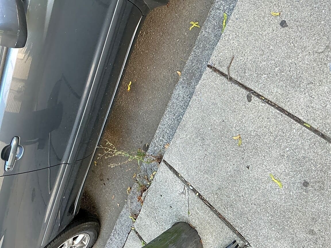 Image submitted with report