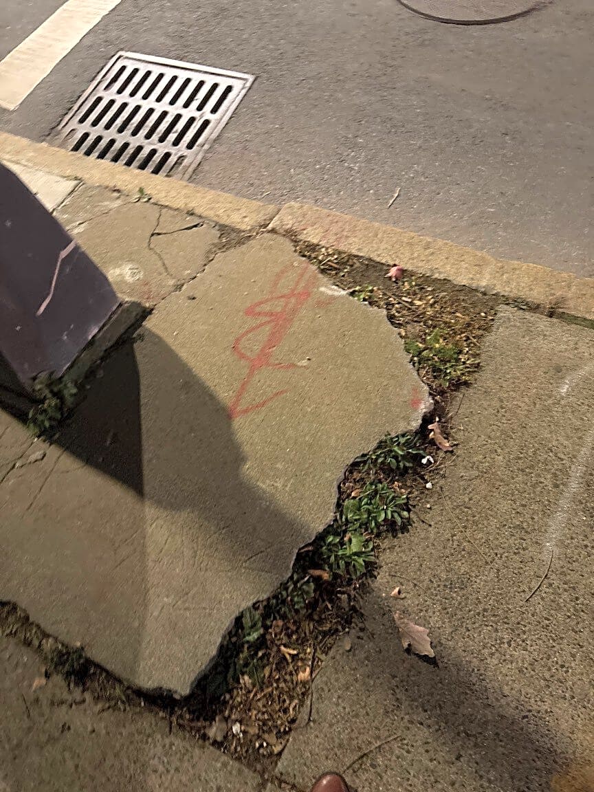 Image submitted with report